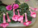 DSC09189