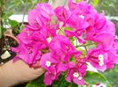 DSC09199