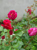 IMG_20140601_124646