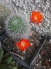 IMG_20140601_131341