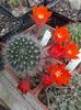IMG_20140601_131358