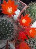 IMG_20140601_131408