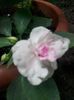 IMG_20140601_131646