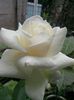 IMG_20140601_131701