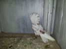 20140529_123644
