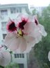 DSC08202