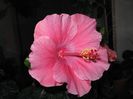 IMG_0957