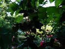 DSCN1074