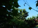 DSCN1075