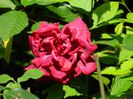 DSCN1093