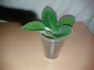 20140531_154020