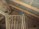 poze azi30-05-2014 2136