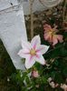 20140601_162738