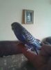 IMG-20140601-WA0019
