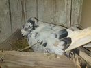 IMG-20140601-00227