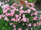 DSCN3757_001