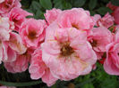 DSCN3760_004