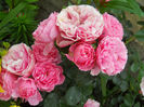 DSCN3762_006