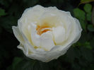 DSCN3765_009