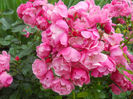 DSCN3771_015