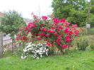 DSCN3776_020