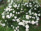 DSCN3778_022