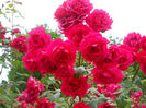 DSCN3779_023