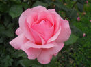 DSCN3781_025