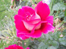 DSCN3784_028