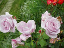 DSCN3786_030