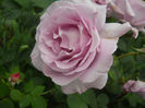 DSCN3787_031