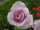 DSCN3788_032