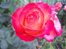 DSCN3790_034