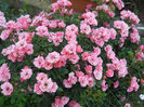 DSCN3793_037