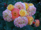 DSCN3806_050