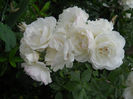 DSCN3808_052