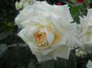 DSCN3810_054