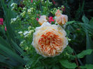 DSCN3813_057
