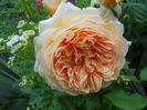 DSCN3814_058