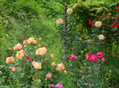 DSCN3832_076