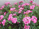 DSCN3835_079