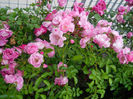 DSCN3839_083