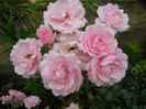DSCN3855_099