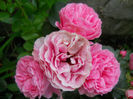 DSCN3858_102