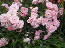 DSCN3859_103