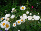 DSCN3863_107