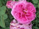 DSC04327