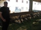 Fest_Katzin_ 017