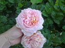 Abraham Darby