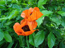 P1019216